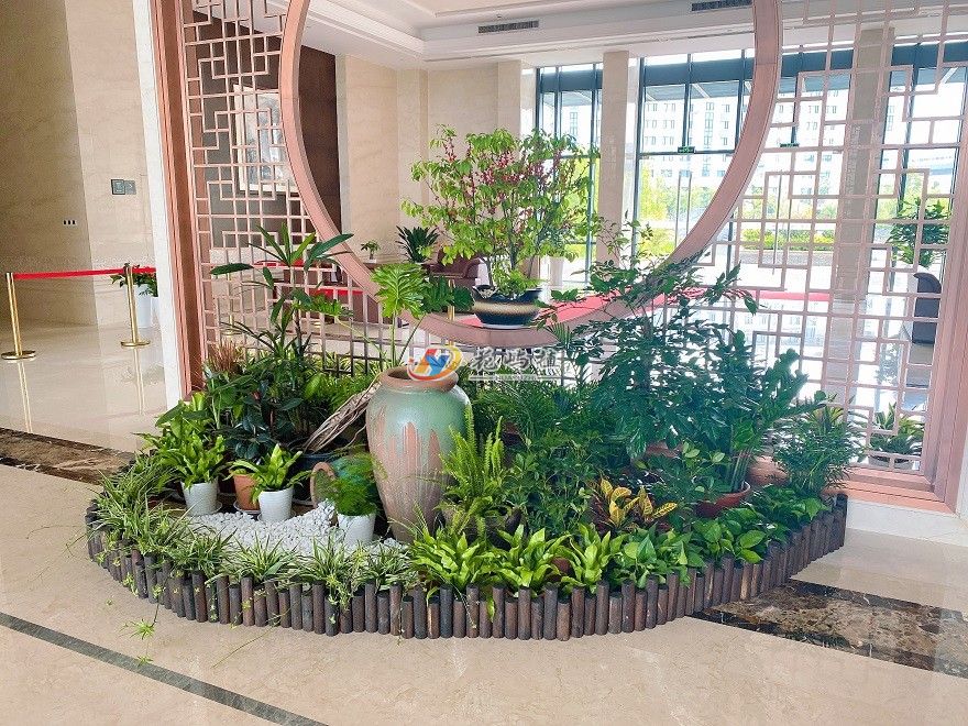 宁波鄞州企业大厅组合花卉绿植摆放
